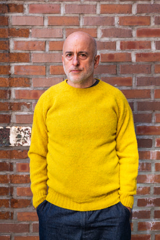 Wool Shaggy Crew Neck Wool Sweater, Citrine