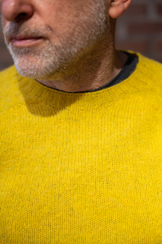 Wool Shaggy Crew Neck Wool Sweater, Citrine